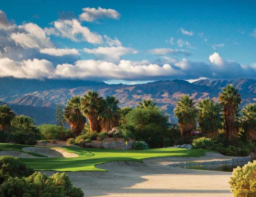 Viridian Bandon
