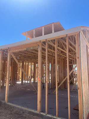 Litchfield Park construction